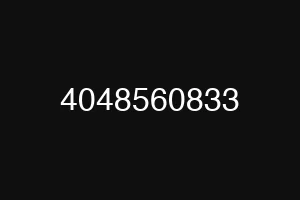 4048560833