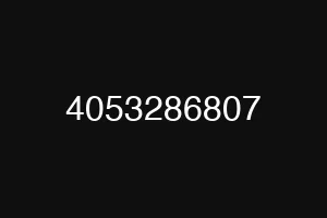 4053286807