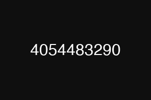 4054483290