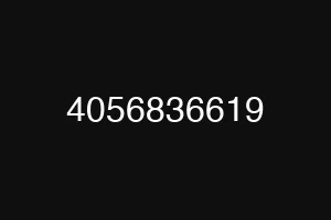 4056836619