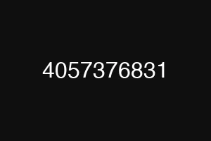 4057376831