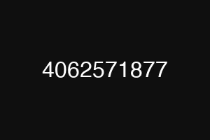 4062571877