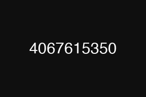 4067615350
