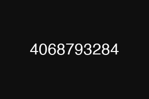 4068793284