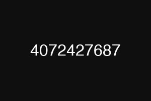 4072427687