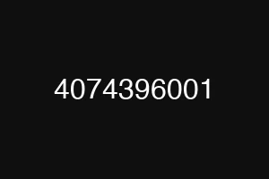 4074396001
