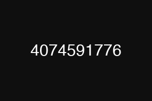 4074591776