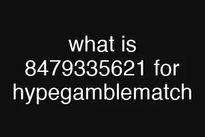 what is 8479335621 for hypegamblematch